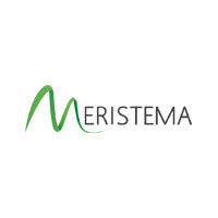 Logotipo Meristema